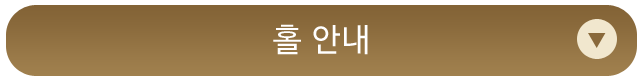 홀안내